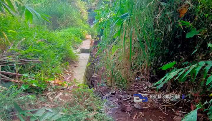 Lima Bendungan Sungai Cimuncang Jebol, Ratusan Hektar Sawah Terancam Gagal Panen