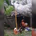 Pohon Tumbang Menimpa Tiga Rumah di Parungkuda