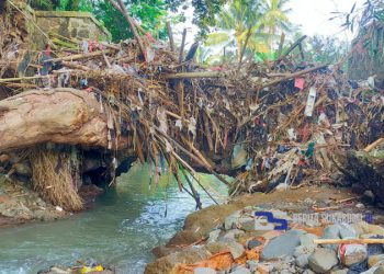 Lima Bendungan Sungai Cimuncang Jebol, Ratusan Hektar Sawah Terancam Gagal Panen