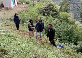 KKNT Mahasiswa IPB Tahun 2022, Tanam 100 Bibit Pohon Aren Genjah di Desa Girijaya