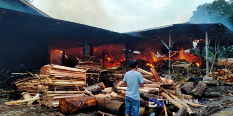 Pabrik Triplek di Cikembar Dilalap Si Jago Merah, Ini Penyebabnya!