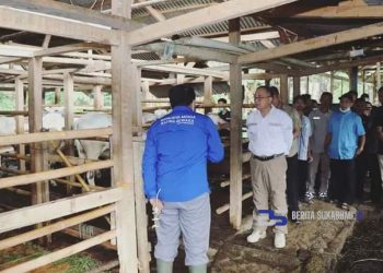 Wabup Kunjungi Lokasi UPPO dan Lumbung Pangan di Jampang