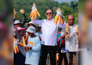 Ayep Zaki Laksanakan Panen Jagung di Purabaya, Sebagai Implementasi Kemitraan FKDB dan Polri
