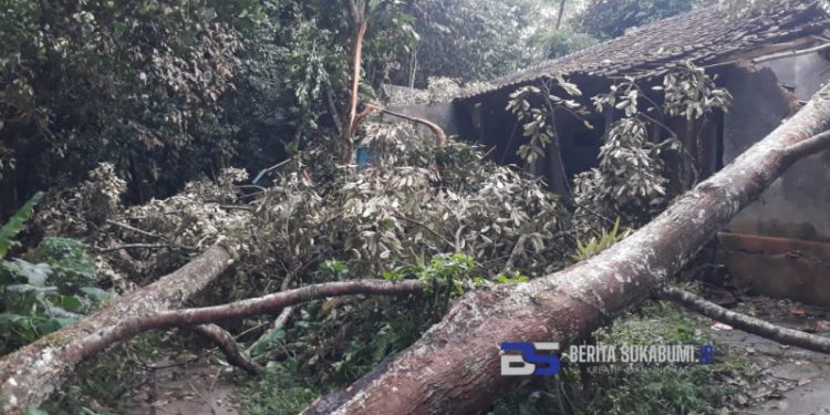 Sejumlah Rumah di Bojonggenteng Rusak Akibat Tertimpa Pohon 