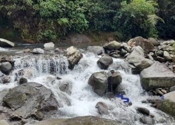 Tanggul Irigasi Cirasamala Jebol, 75 Hektar Lahan Sawah di Cicurug Akan Terancam Kekeringan