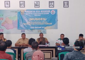 Pemdes Mekarsari, Sosialisasikan Tentang Program Ketahanan Pangan dan Penetapan KPM BLT-DD Tahun 2023 Melaui Musdes dan Musdesus