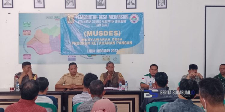 Pemdes Mekarsari, Sosialisasikan Tentang Program Ketahanan Pangan dan Penetapan KPM BLT-DD Tahun 2023 Melaui Musdes dan Musdesus