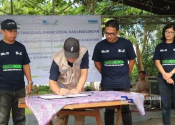 Wakil Bupati Sukabumi Tanam 6000 Pohon Mangrove di Pantai Palangpang