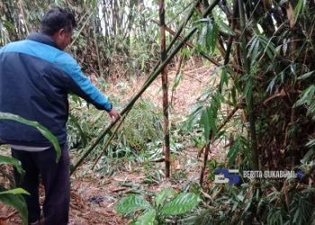 Inilah Lokasi Tewasnya Jalal yang Dibacok saat Menebang Pohon Bambu di Cicurug