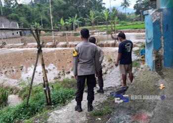 Luapan Air Sungai Cibojong Rendam Rumah Warga dan Hektaran Sawah di Cidahu