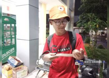 Sigap!! Anggota Relawan Cicurug Peduli Berhasil Tangkap Ular yang Hendak Masuk ke Sekolah