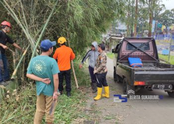 Bahayakan Pengguna Jalan, Pohon Bambu di Cicurug Ini Ditebang P2BK dan Relawan 