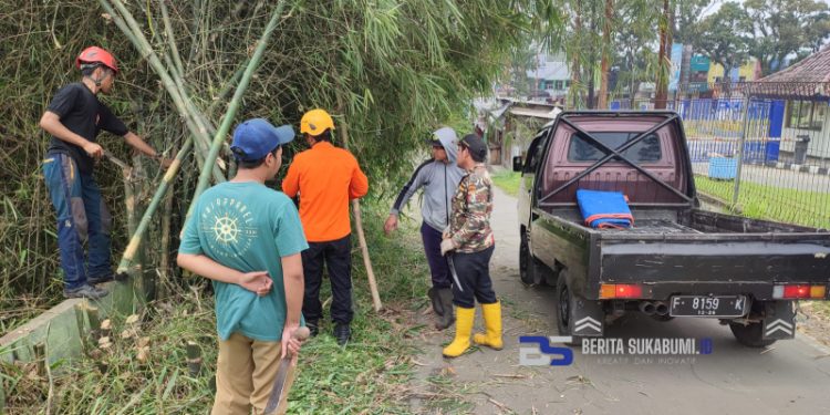 Bahayakan Pengguna Jalan, Pohon Bambu di Cicurug Ini Ditebang P2BK dan Relawan 