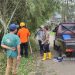 Bahayakan Pengguna Jalan, Pohon Bambu di Cicurug Ini Ditebang P2BK dan Relawan 