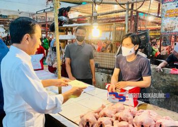 Presiden RI Kunjungi Pasar Cigombong, Cek Harga Pasar Jelang Nataru!!