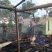 Diduga Korsleting Listrik, Sebuah Rumah di Ciambar Hangus Terbakar