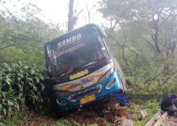 Bus Jurusan Palabuhanratu-Bogor Terperosok di Tanjakan Alternatif Cicurug 