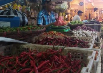 Usut Tuntas Dugaan Pungli Oknum Petugas Dishub di PSM Cibadak