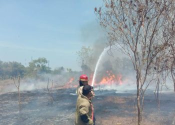DPKP Berhasil Padamkan Api di Lahan Warga Surade