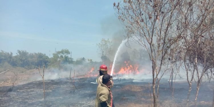 DPKP Berhasil Padamkan Api di Lahan Warga Surade