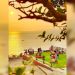Lagi Hits! Wisata Bukit Sunset Hill Geopark Ciletuh Panorama Alam Menakjubkan