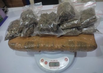 Satnarkoba Polres Sukabumi Kota Amankan Pelaku Pengedar Ganja di Gunungguruh