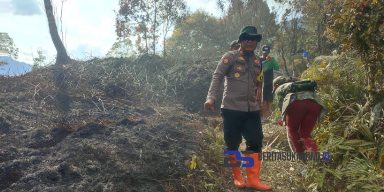 Waduh!! Lahan Hutan Gunung Salak Seluas 1 Hektare Terbakar