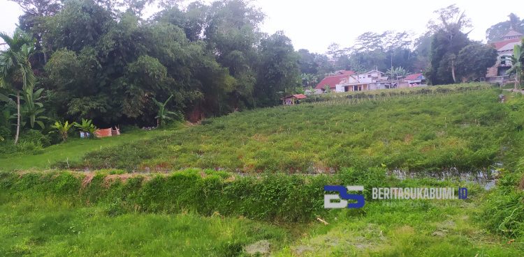 TKD Purwasari di Desa Nanggerang Terkena Pembebasan Lahan untuk Pembangunan Tol Bocimi, Dimana Lahan Penggantinya?