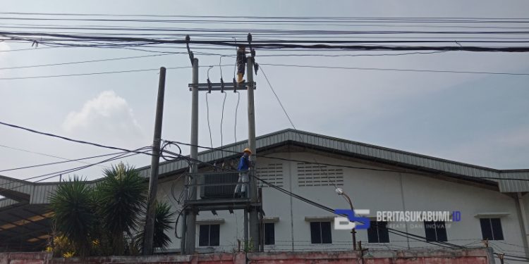 PLN ULP Cicurug Lakukan Pemeliharaan Jaringan SUTM, Ini Tujuannya!!