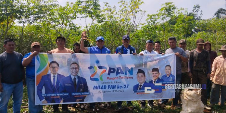 HUT ke-27, Pengurus DPD PAN Kab. Sukabumi Panen Raya Singkong di Parakansalak