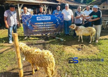 Idul Adha 1447 H: DPC PERADI Cibadak Kabupaten Sukabumi Wujudkan Nilai Pengorbanan dan Kepedulian Lewat Penyaluran Hewan Kurban
