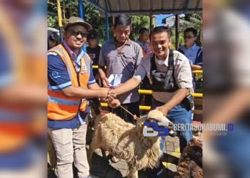 AQUA Sukabumi Bagikan 55 Ekor Domba Kurban, Wujud Komitmen Kepedulian Lingkungan dan Sosial