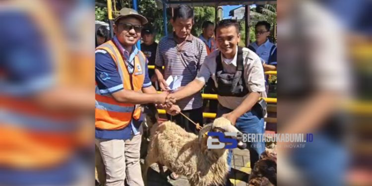 AQUA Sukabumi Bagikan 55 Ekor Domba Kurban, Wujud Komitmen Kepedulian Lingkungan dan Sosial