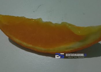 Potongan Jeruk Kecil Jadi Buah MBG PAUD di Cicurug, Warga: Apakah Ini Layak?
