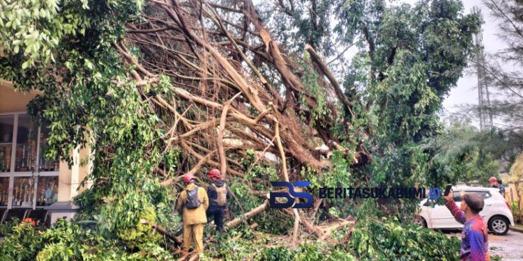 Angin Puting Beliung Hantam Dua Sekolah di Cicurug, Pohon Tumbang Timpa Laboratorium